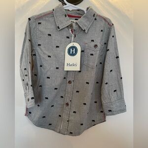 NWT Hatley Boys Grey Bear Button Down Shirt, Size 3